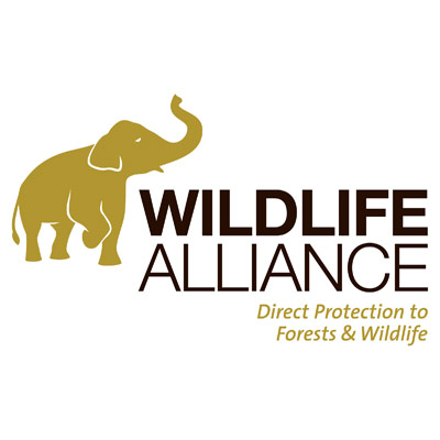 The Wildlife Alliance